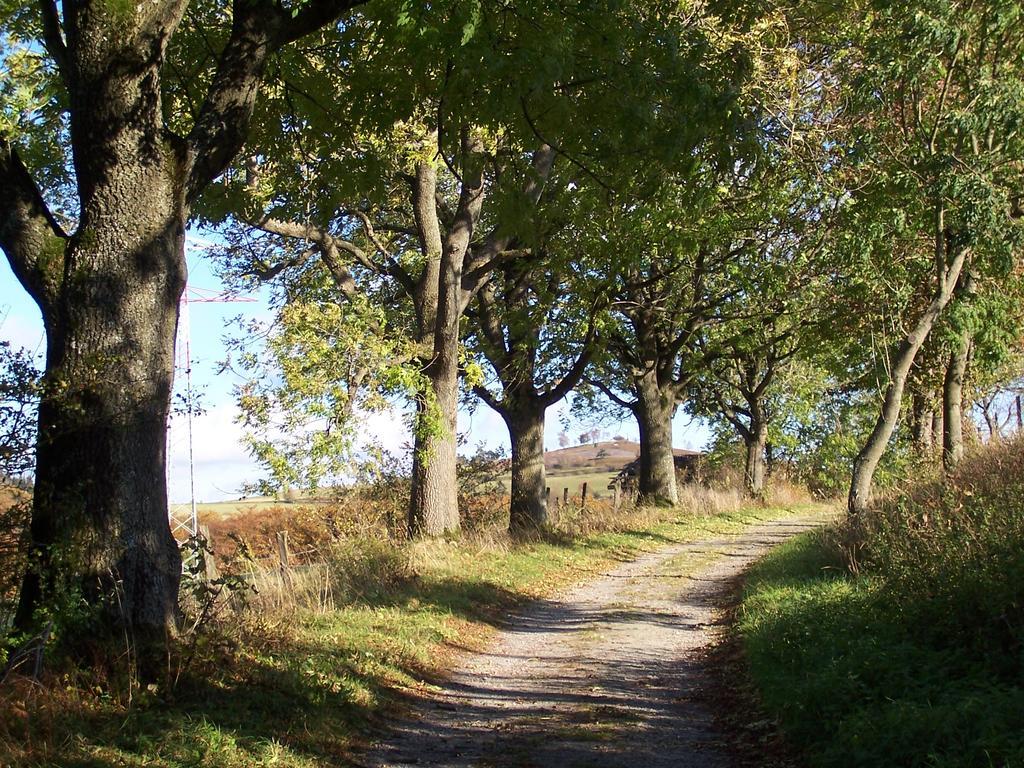 Fewo Wilke Willingen  Esterno foto