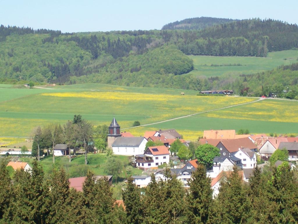 Fewo Wilke Willingen  Esterno foto