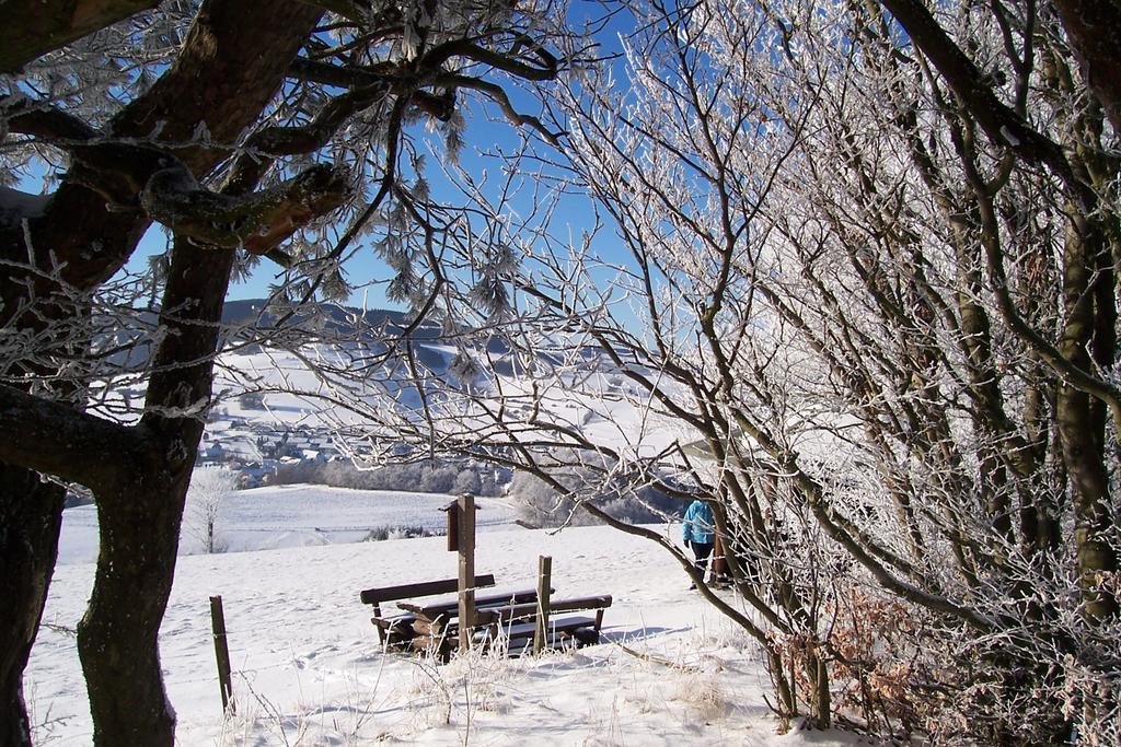 Fewo Wilke Willingen  Esterno foto