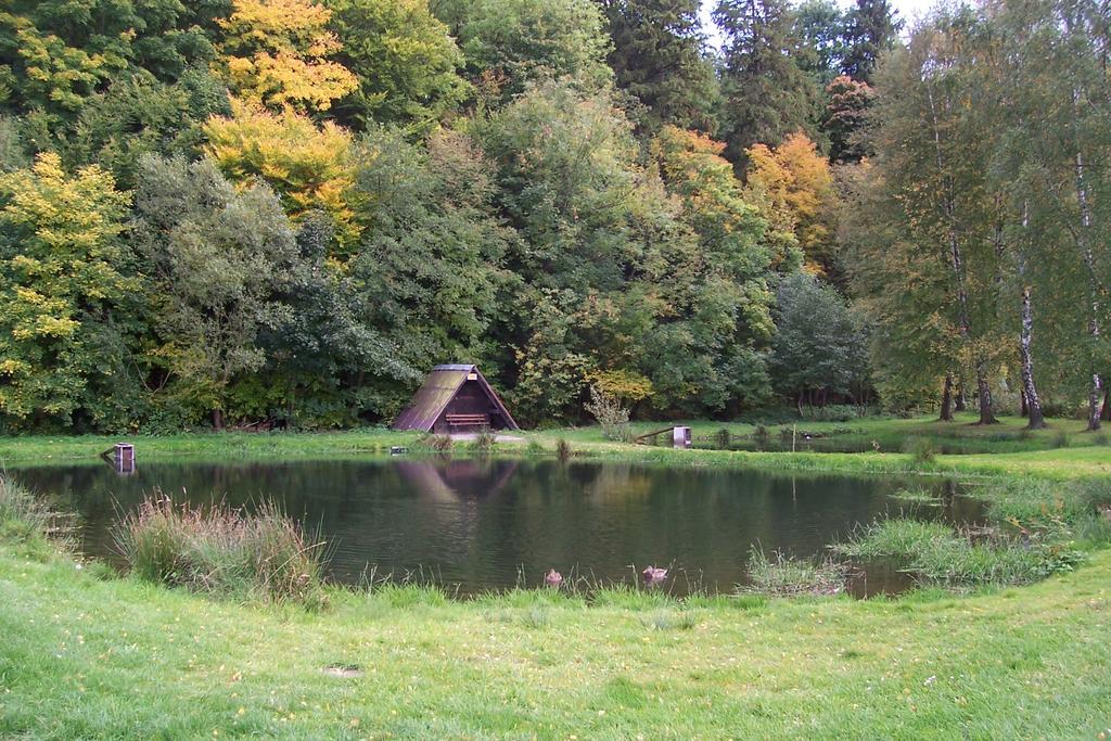 Fewo Wilke Willingen  Esterno foto